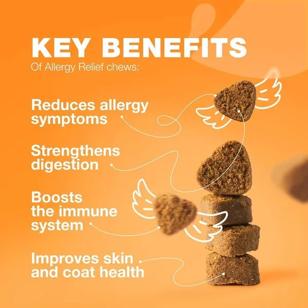 Dog Allergy Relief Chews – Anti-Itch Salmon Oil Treats for Skin & Immune Health