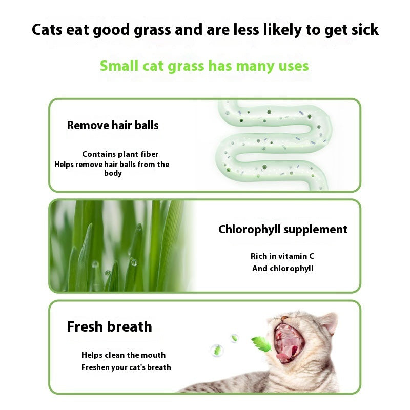 Lazy Cat Grass Cans – Hydroponic Soilless Digestive & Hairball Support Snacks