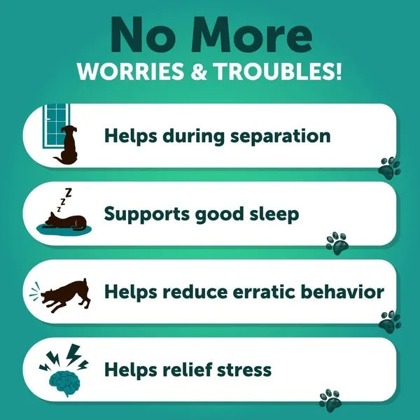 Hemp Calming Chews for Dogs – Anxiety Relief Treats with Hemp Oil, Turmeric, Valerian & Ginger (120 Chews)