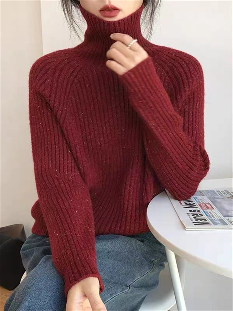 Women’s Shiny Soft Turtleneck Sweater