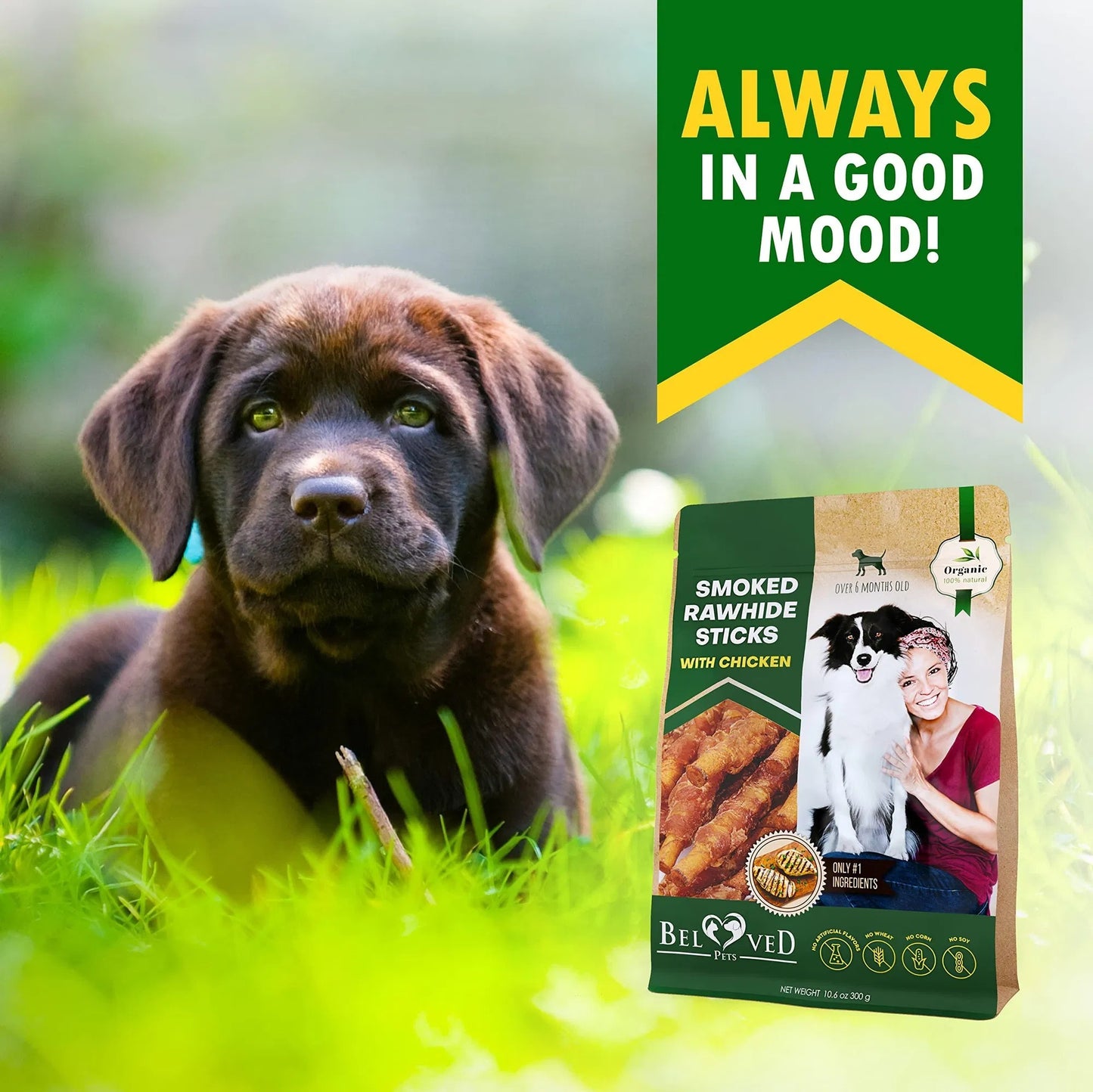 Dog Rawhide Sticks with Chicken – Grain-Free Natural Chew Treats