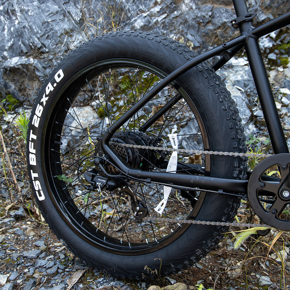 1000W Fat Tire Electric Bike for Adults – 26"x4.0" E-Bike with 48V Battery, UL Certified