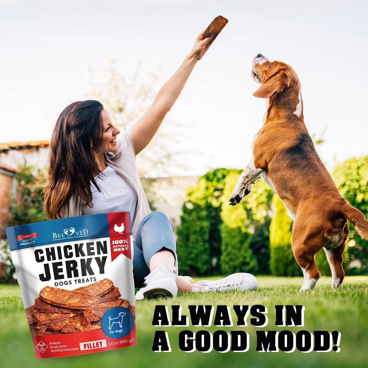 Chicken Jerky Dog Treats – Human Grade Grain-Free High Protein Snacks (1.5 lb)