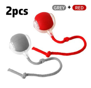Interactive Cat Toy Ball – Super Drive Rolling Ball for Active Play & Exercise