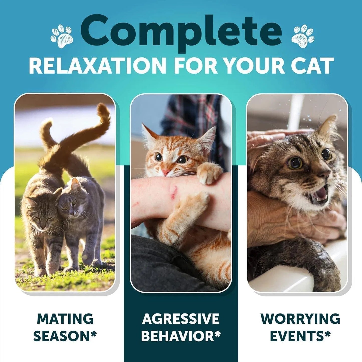 Hemp Cat Calming Treats – Melatonin Soft Chews for Stress & Anxiety Relief in Cats & Kittens