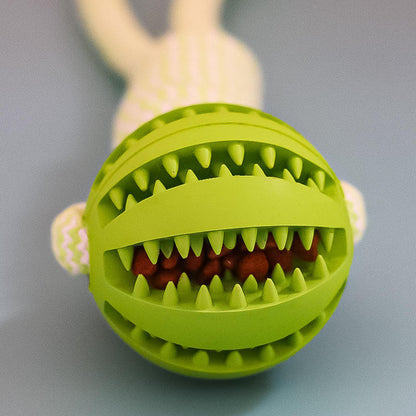 Interactive Dog Treat Chew Ball
