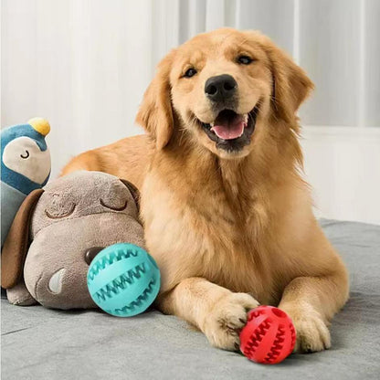 Interactive Dog Treat Chew Ball