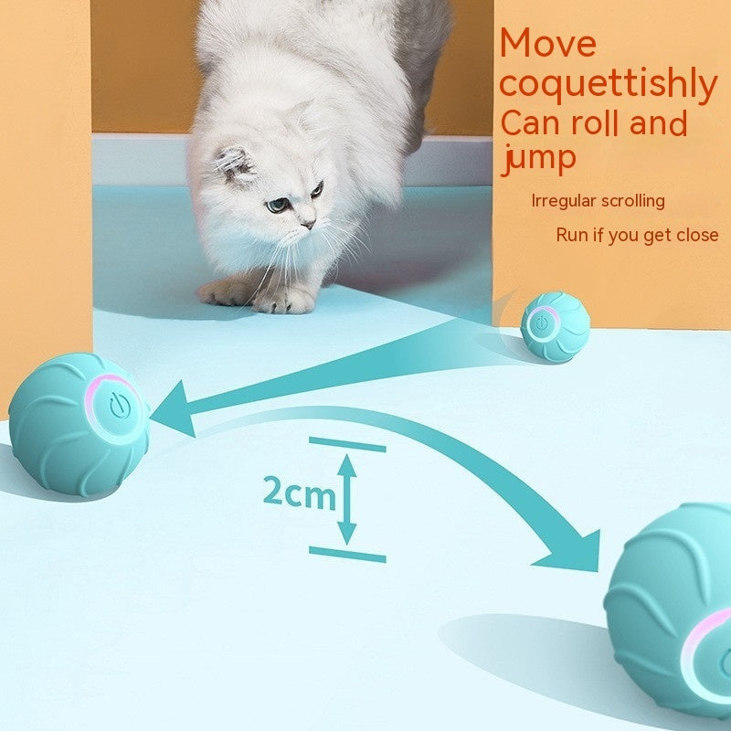 Smart Rolling Cat Toy Ball
