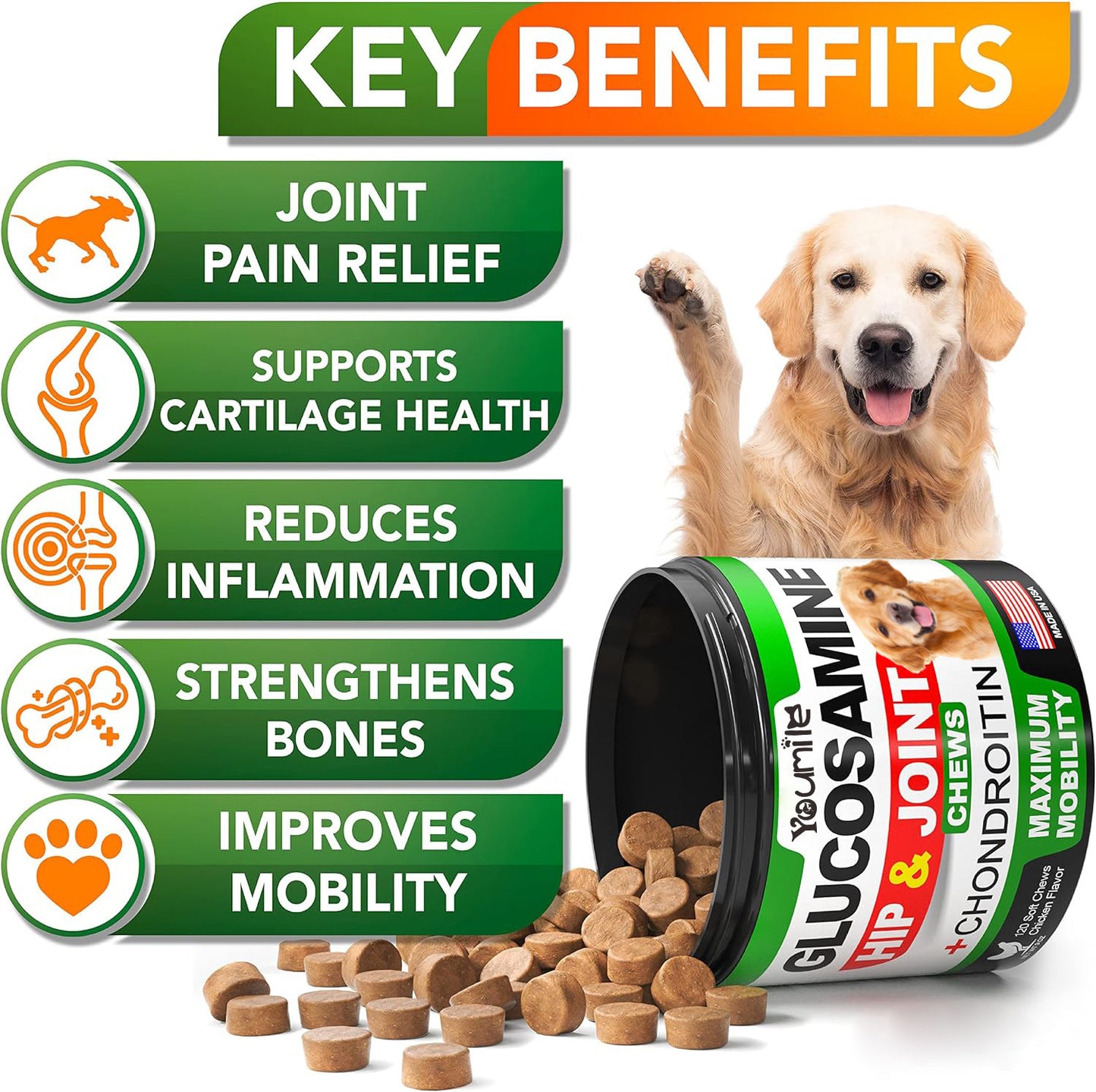 Pet Hip & Joint Supplement with Chondroitin – Support Mobility & Joint Health for Dogs