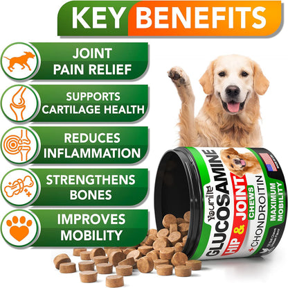 Pet Hip & Joint Supplement with Chondroitin – Support Mobility & Joint Health for Dogs
