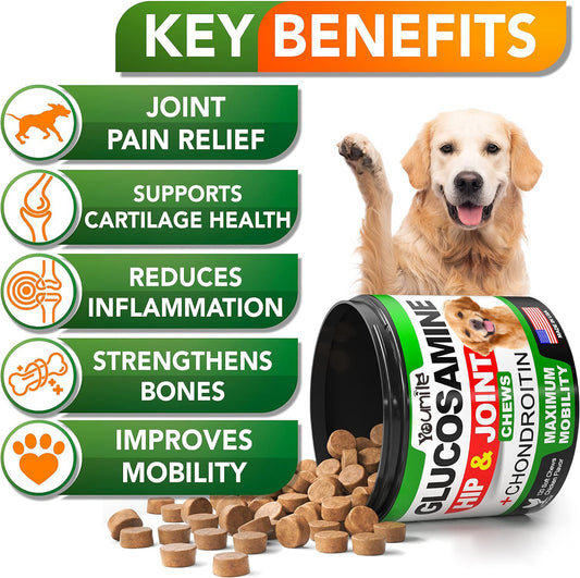 Pet Hip & Joint Supplement with Chondroitin – Support Mobility & Joint Health for Dogs