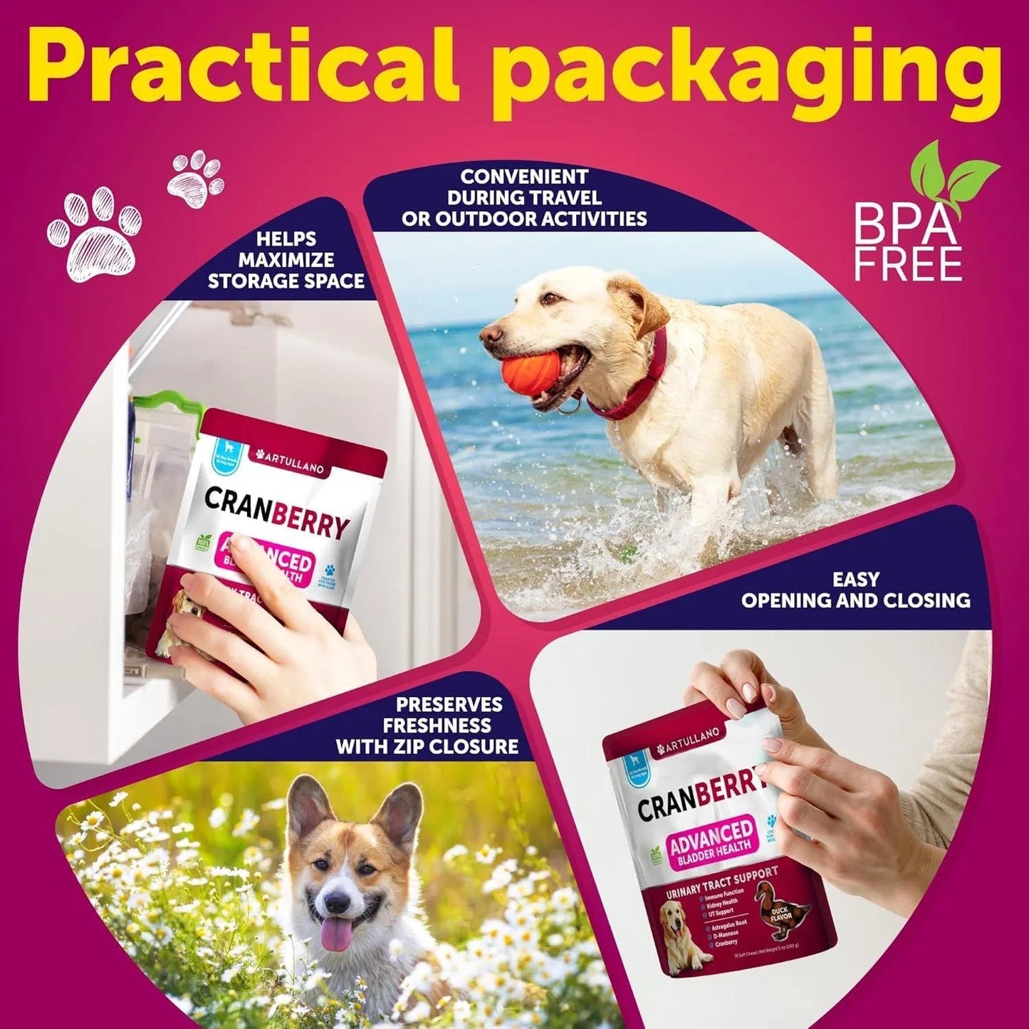 Dog UTI & Bladder Support – Cranberry Supplement for Urinary Tract Health (70 Soft Chews)