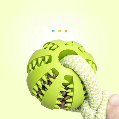 Interactive Dog Treat Chew Ball
