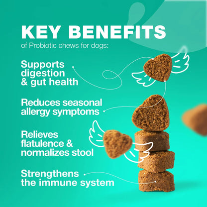 Dog Probiotics & Digestive Enzymes – Gut Health, Immunity & Allergy Support (180 Chews)