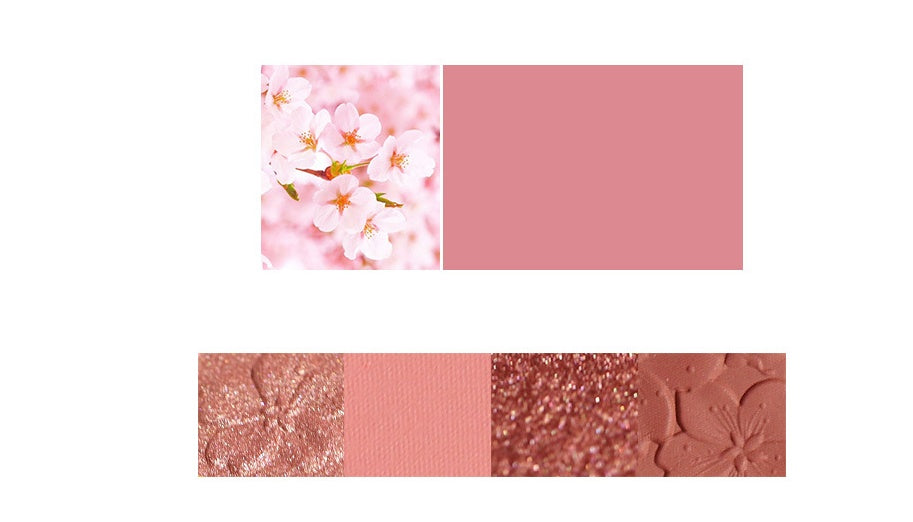 NOVO 4 Color Eyeshadow Palette