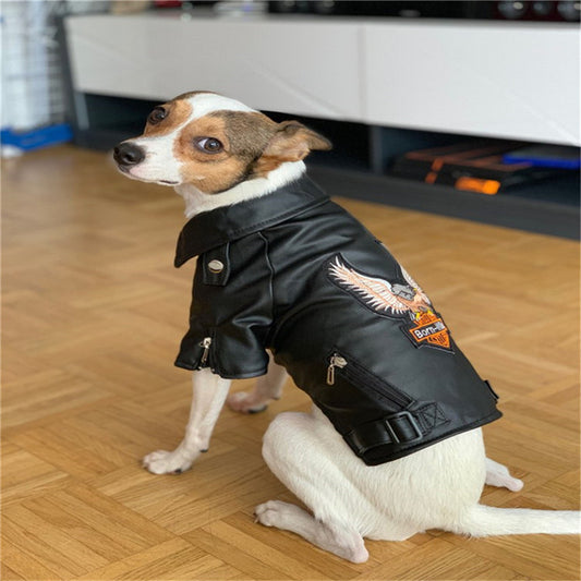 Dog Leather Jacket – Small Pet Outfit with Eagle Embroidery