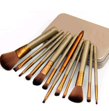 12-Piece Makeup Brush Set with Iron Case