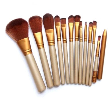 12-Piece Makeup Brush Set with Iron Case