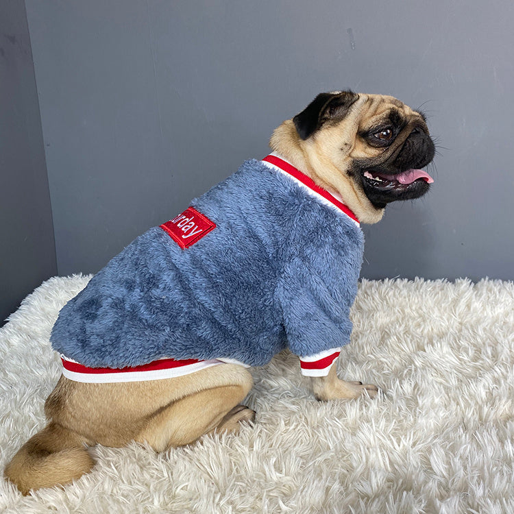 Cozy Pet Sweater – Warm Winter Dog & Cat Clothing