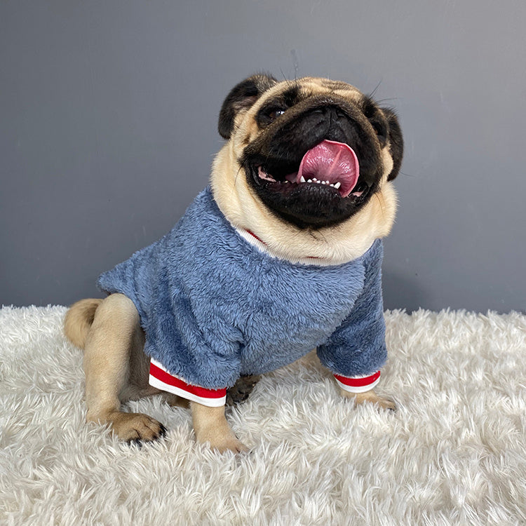 Cozy Pet Sweater – Warm Winter Dog & Cat Clothing