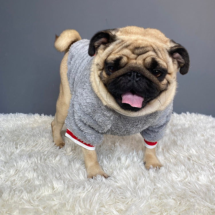 Cozy Pet Sweater – Warm Winter Dog & Cat Clothing