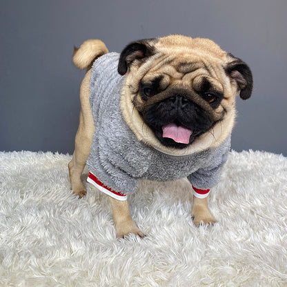 Cozy Pet Sweater – Warm Winter Dog & Cat Clothing