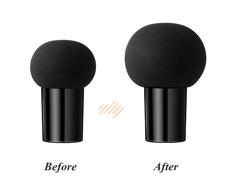 Black & White Swan Makeup Set – Cushion BB Cream, Powder & Lipstick