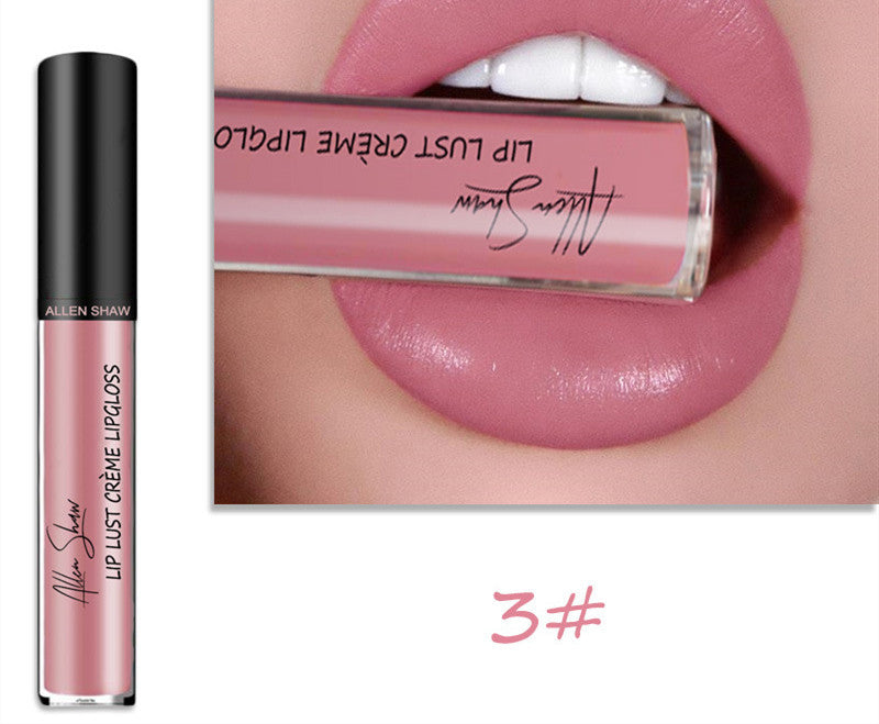 Silky Cream Texture Lip Gloss – Cross-Border Exclusive Lip Glaze