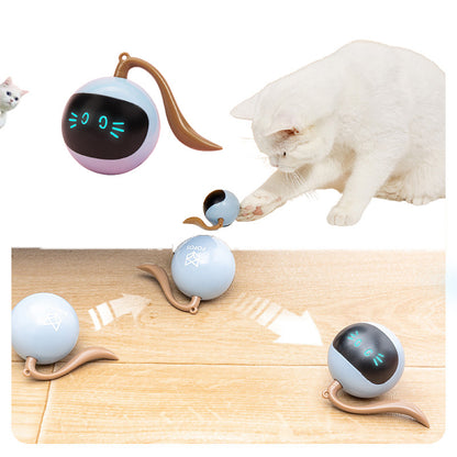 LED Rotating Interactive Pet Ball