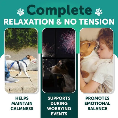Hemp Calming Chews for Dogs – Anxiety Relief Treats with Hemp Oil, Turmeric, Valerian & Ginger (120 Chews)