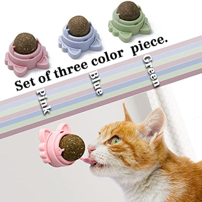 Catnip Wall Balls – Healthy Cat Toys for Teeth Cleaning & Chewing