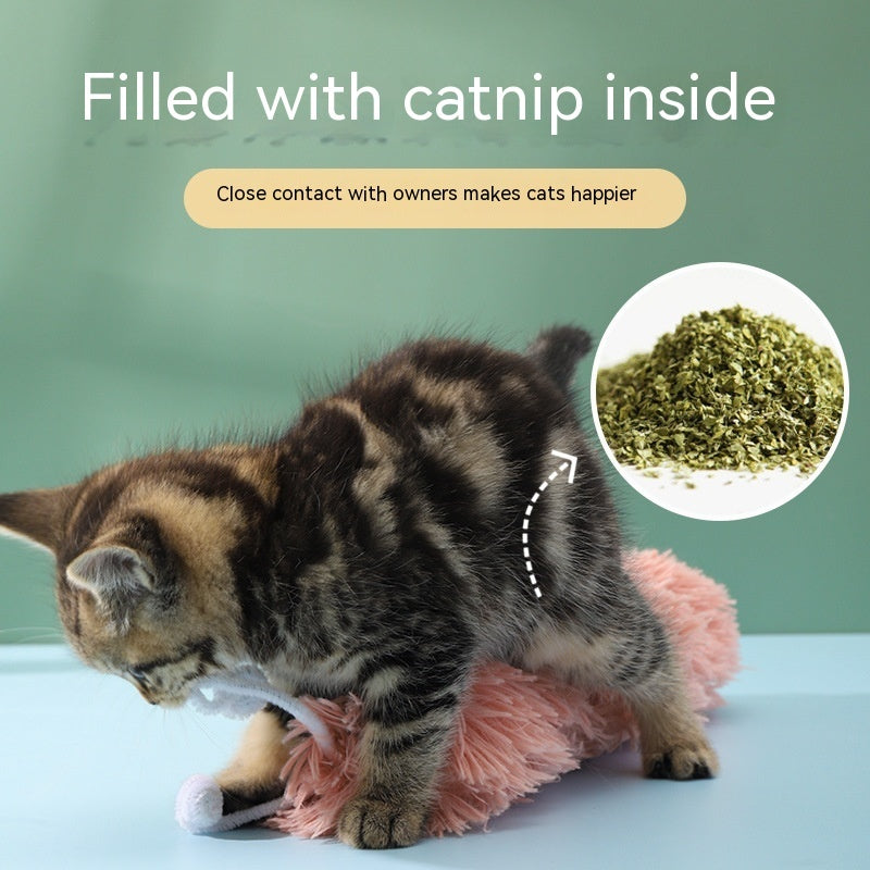 Caterpillar Ringing Paper Cat Toy – Bite Resistant & Stress Relief