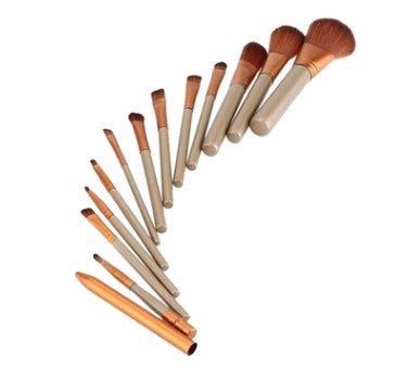 12-Piece Makeup Brush Set with Iron Case