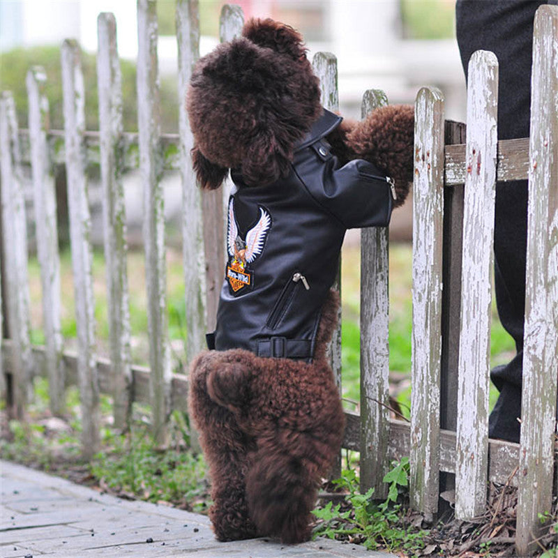 Dog Leather Jacket – Small Pet Outfit with Eagle Embroidery