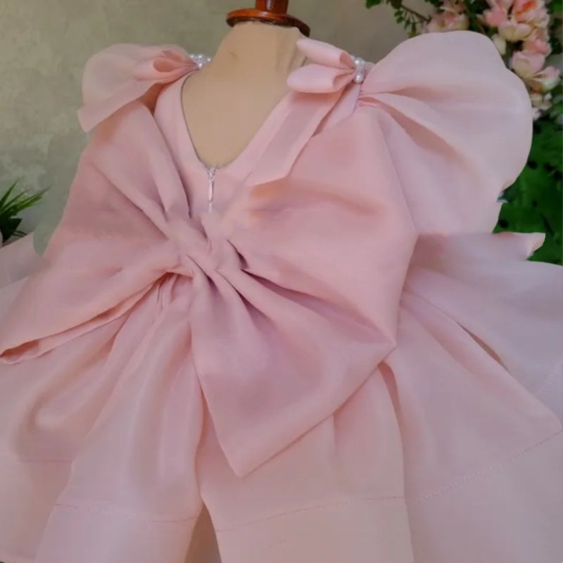 Flower Girl Puffy Princess Dress – Baby & Little Girls