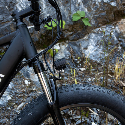 1000W Fat Tire Electric Bike for Adults – 26"x4.0" E-Bike with 48V Battery, UL Certified