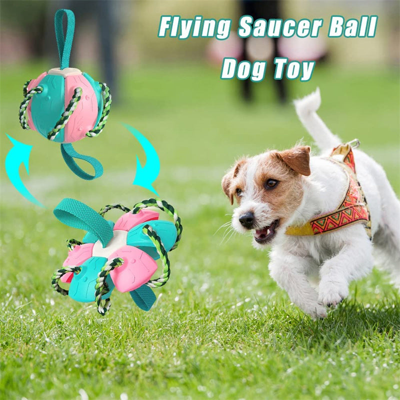 Interactive Dog Soccer Ball Toy