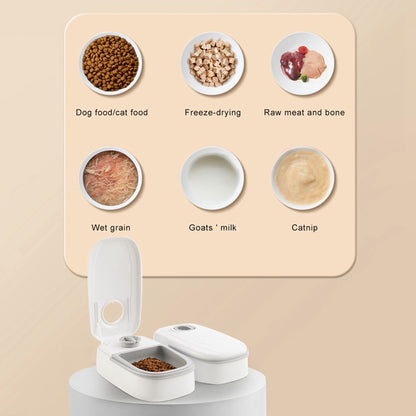 Automatic Pet Feeder – Smart Food Dispenser with Timer & Stainless Steel Bowl for Cats & Dogs