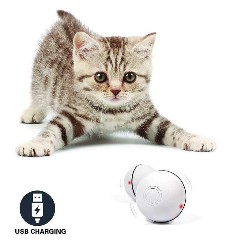 LED Laser Rolling Cat Toy Ball – Electronic Interactive Play Toy for Pets