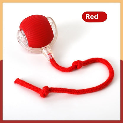 Interactive Cat Toy Ball – Super Drive Rolling Ball for Active Play & Exercise