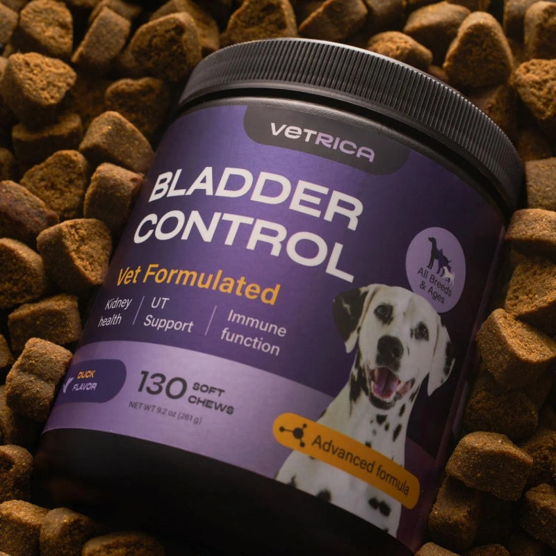 Dog UTI & Bladder Support Chews – Duck Flavor Cranberry D-Mannose Soft Treats for Urinary & Kidney Health