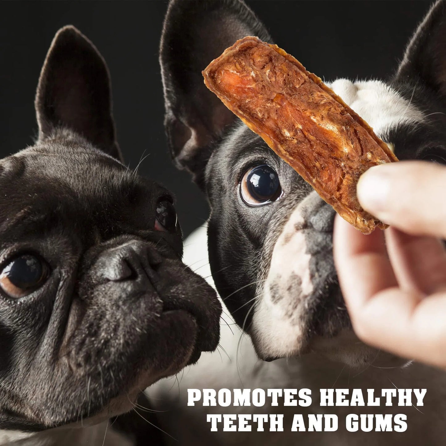 Chicken Jerky Dog Treats – Human Grade Grain-Free High Protein Snacks (1.5 lb)