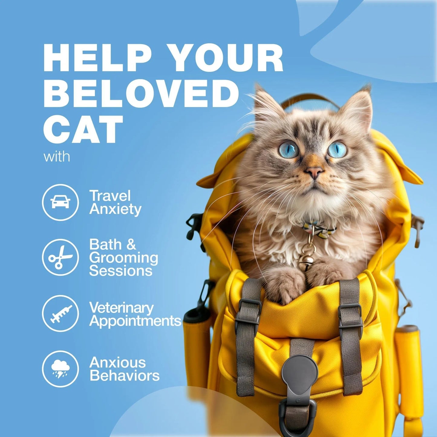 Cat Calming Treats – Hemp & Melatonin Soft Chews with Probiotics for Anxiety Relief
