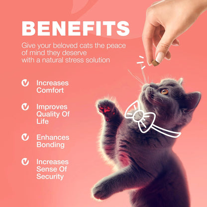 Cat Flea & Tick Chews – Daily Oral Soft Treats for All Breeds & Ages, Natural Chicken Flavor