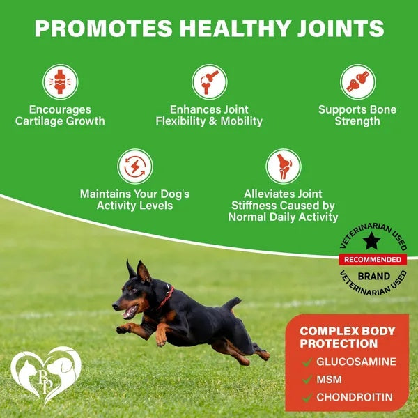 Dog Hip & Joint Supplement – Arthritis & Pain Relief Treats with Glucosamine, Chondroitin & MSM, Soft Chews