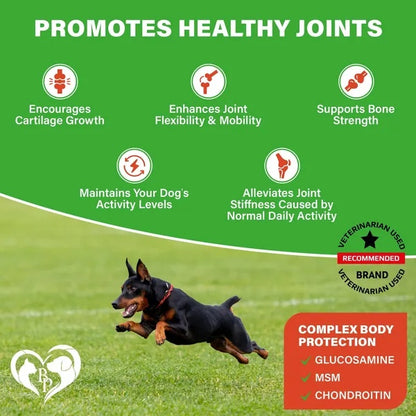 Dog Hip & Joint Supplement – Arthritis & Pain Relief Treats with Glucosamine, Chondroitin & MSM, Soft Chews