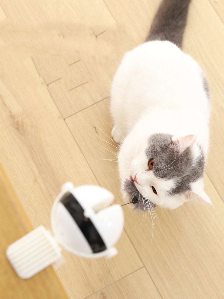 Automatic Lifting Cat Toy – Interactive Smart Teaser Ball