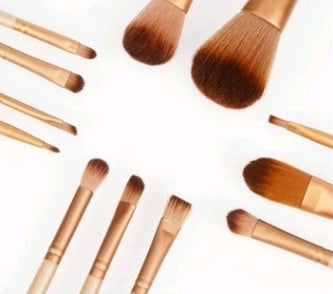 12-Piece Makeup Brush Set with Iron Case