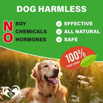 Dog Hip & Joint Supplement – Arthritis & Pain Relief Treats with Glucosamine, Chondroitin & MSM, Soft Chews