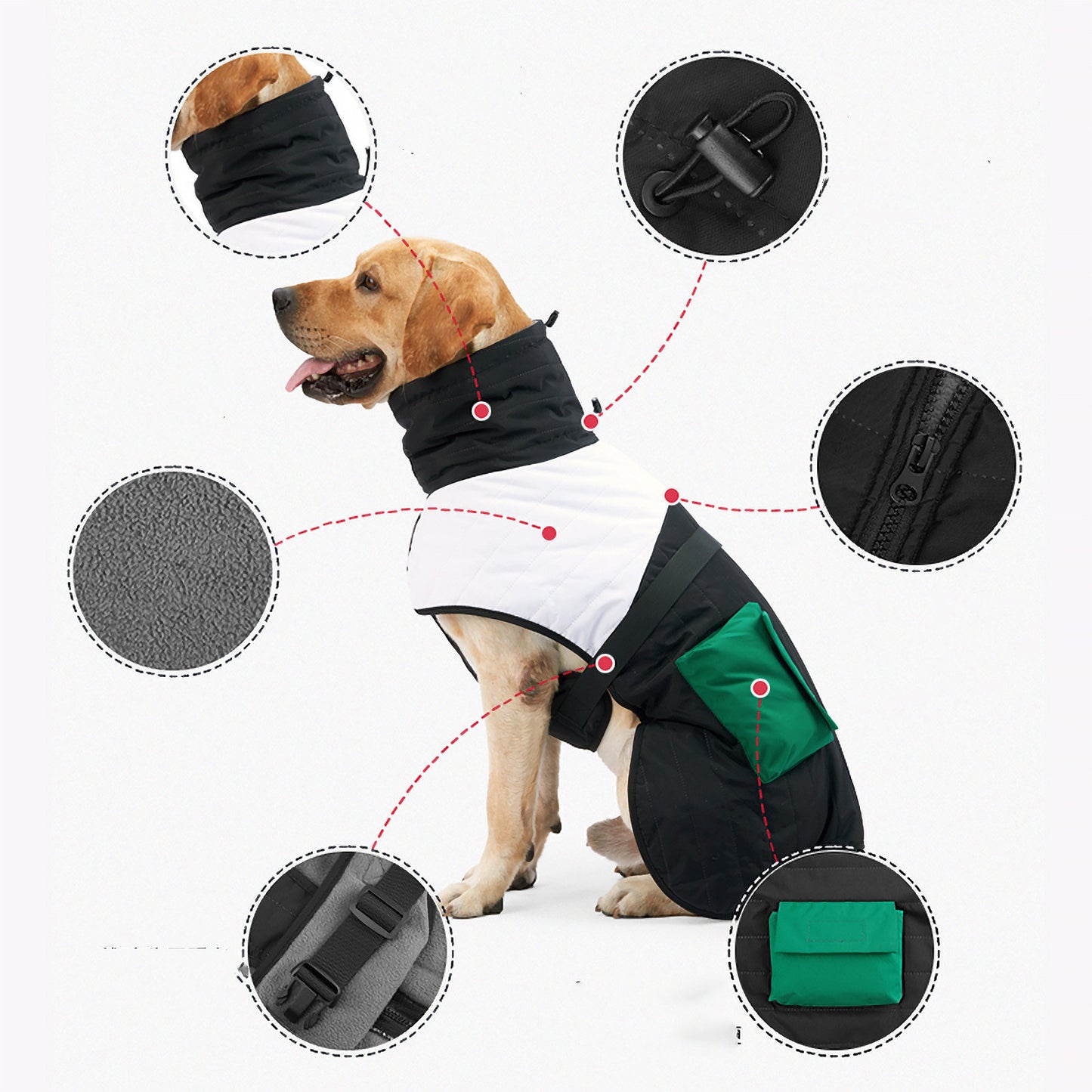 Warm Dog Winter Coat – Thick Padded Pet Jacket for Cold Weather